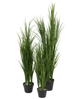 Quatre plants de gazon artificiel UV vert gazon artificiel dans un pot de 120 cm avec de longues et fines lames vertes sont regroupés sur un fond blanc.