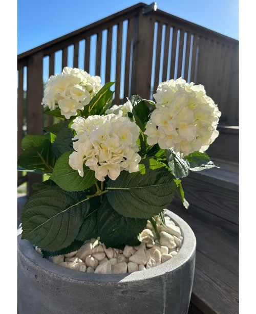 La plante Hortensia Artificielle Blanc UV 35 cm, avec des fleurs blanches et des feuilles vertes, se dresse à l'extérieur sur des galets blancs par une journée ensoleillée, avec des balustrades de terrasse en bois et un escalier en arrière-plan.