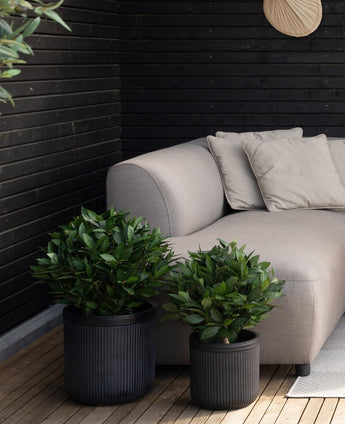 Un coin salon extérieur moderne avec un canapé gris clair, des coussins beiges et deux lauriers artificiels UV d30 cm dans des jardinières nervurées foncées à côté d'un mur en bois noir et d'un parquet en bois.