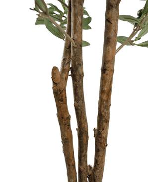 Gros plan de quelques branches d'arbre marron à l'écorce rugueuse et de quelques feuilles vertes de l'olivier artificiel UV 180 cm sur un fond uni blanc.