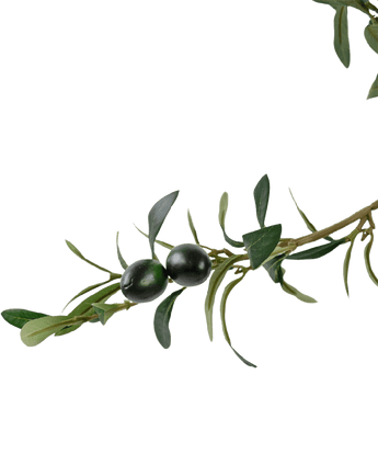 Un gros plan d'une branche feuillue verte avec deux olives foncées, sur un fond blanc uni, souligne le détail réaliste de l'Olivier artificiel UV 180 cm.