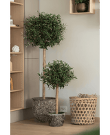 Deux oliviers artificiels UV 150 cm dans un pot au feuillage vert rond côtoient un panier tressé et une étagère en bois dans un intérieur clair et moderne.