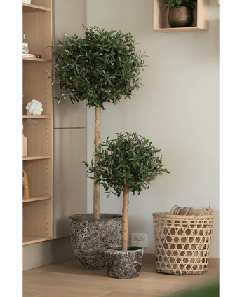 Deux oliviers artificiels UV 85 cm faciles d'entretien avec des troncs élancés se dressent l'un à côté de l'autre sur un plancher en bois à côté d'un panier tressé et de planches de bois dans un intérieur moderne et minimaliste.