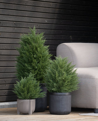Trois plantes à feuilles persistantes en pot, dont une plante artificielle conifère deluxe UV 90 cm, se dressent sur un plancher en bois à côté d'un canapé gris clair, avec un mur en bois foncé derrière lui pour un accent végétal élégant et sans entretien.