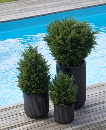 Trois arbustes de conifères artificiels de luxe UV de 90 cm dans des jardinières texturées noires se dressent sur une terrasse en bois à côté d'une piscine bleu vif et créent un accent végétal sans entretien.