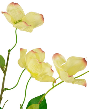 Le Cornouiller Artificiel Real Touch Jaune Clair 74 cm a une tige avec trois fleurs jaune clair légèrement rainurées avec des pointes roses et quelques feuilles vertes, représentées sur un fond blanc.
