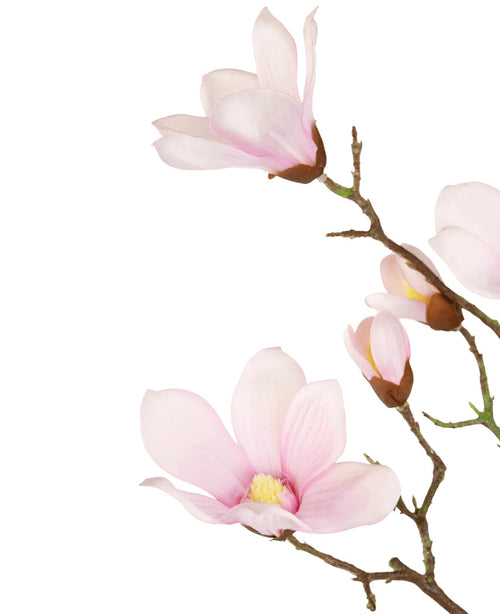 La Branche de Magnolia Artificielle Real Touch Rose 98 cm présente de délicates fleurs et bourgeons de magnolia rose clair sur une branche, sur un fond blanc.