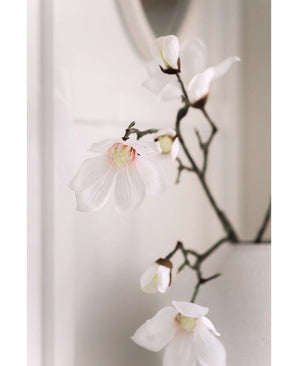 Un gros plan de la branche de magnolia artificielle Real Touch White 98 cm montre de délicates fleurs de magnolia blanches avec des cœurs roses sur des branches sombres dans un vase blanc, sur un fond clair légèrement décoloré.