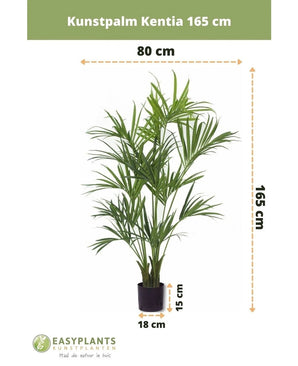 Le Palmier Artificiel Kentia 165 cm est un palmier artificiel de 165 cm de haut et 80 cm de large, placé dans un pot noir de 18x15 cm. Le logo Easyplants est visible en bas de l'image.