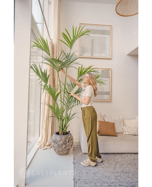 Dans un salon lumineux, une femme se tient à côté du palmier Kentia artificiel 220 cm, pendant qu'elle touche doucement les feuilles. L'intérieur tropical comprend un canapé lumineux avec des coussins, des œuvres d'art murales encadrées et de grandes fenêtres laissant entrer la lumière naturelle.