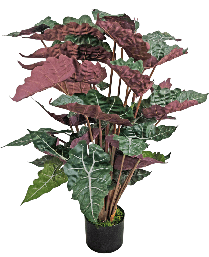 La plante artificielle Alocasia 100 cm vert/rouge a de grandes feuilles vert foncé avec des nervures blanches proéminentes et un dessous rouge-violet, présentées dans un pot noir.