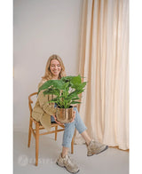 Une femme assise sur une chaise en bois et sourit en tenant la Plante Artificielle Alocasia UV 51 cm. Elle porte un blazer beige, un jean et des baskets. Des rideaux lumineux et un mur neutre créent une toile de fond lumineuse et aérée.