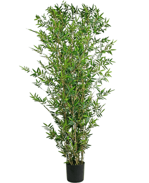 La Plante Artificielle Bamboo Deluxe 180 cm est une grande plante artificielle de bambou aux multiples feuilles vertes fines et aux tiges fines, présentée dans un pot sur un fond blanc uni.