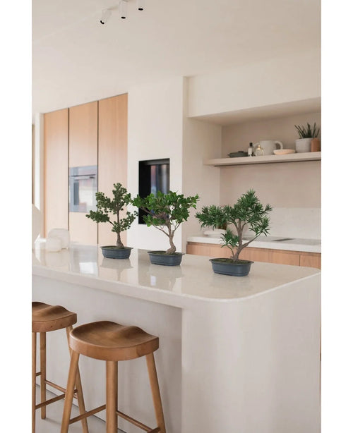 Une plante artificielle Bonsai Ficus de 40 cm se dresse sur un îlot de cuisine blanc avec deux tabourets en bois, entourés d'armoires en bois clair, de plans de travail blancs et d'étagères au décor minimaliste.