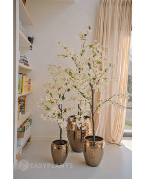 Une plante de bougainvilliers artificiels de 120 cm de haut avec des fleurs blanches dans un pot doré texturé se trouve près d'une fenêtre avec des rideaux transparents, à côté d'étagères pleines de livres et de décorations dans une pièce lumineuse et moderne.