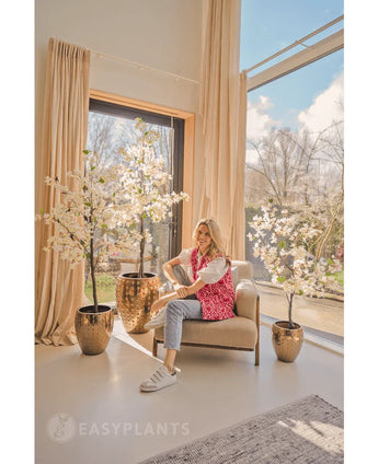 Une femme rit sur un fauteuil beige près de grandes fenêtres aux rideaux beiges, entourée de trois bougainvilliers artificiels de 150 cm blancs dans un espace de vie lumineux et moderne baigné de lumière naturelle.