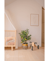 Une chambre d'enfant cosy avec un berceau en bois, le Citronnier Artificiel 90 cm (un citronnier dans un pot avec des feuilles), un petit tricycle en bois du label MIA et une décoration murale minimaliste. Un parquet en bois clair et des tons doux créent une atmosphère paisible.
