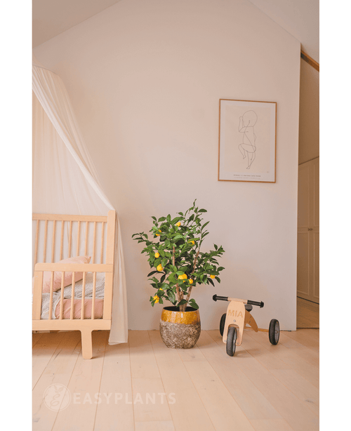 Une chambre d'enfant cosy avec un berceau en bois, le Citronnier Artificiel 90 cm (un citronnier dans un pot avec des feuilles), un petit tricycle en bois du label MIA et une décoration murale minimaliste. Un parquet en bois clair et des tons doux créent une atmosphère paisible.