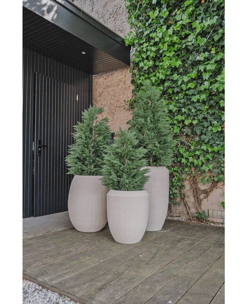Trois grandes jardinières beiges avec plante artificielle conifère de luxe UV 150 cm se dressent sur une terrasse en bois près d'une porte noire et d'un mur de lierre, créant une entrée extérieure ou un patio élégant pour tous ceux qui recherchent l'inspiration d'un jardin de plantes artificielles.