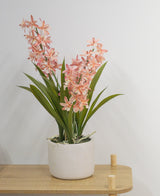 La plante artificielle Cymbidium rose de 58 cm, une plante verte avec de longues feuilles et de longues tiges avec des fleurs rose clair dans un pot en céramique blanche, se dresse sur une table en bois clair contre un mur blanc uni.