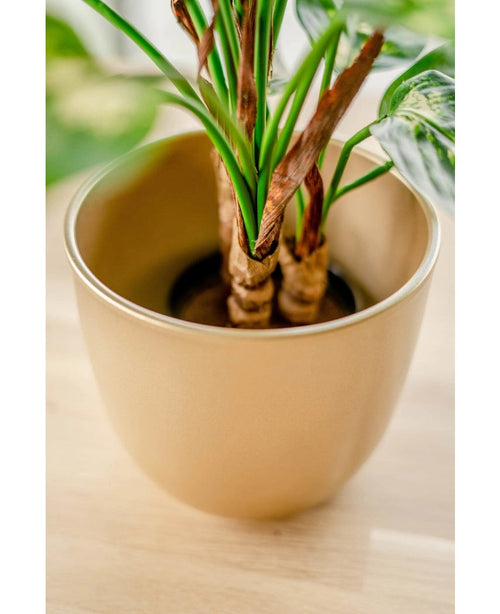 Gros plan de la plante artificielle Dieffenbachia de 40 cm avec des feuilles vertes et quelques bords marron, présentée dans des pots décoratifs marron clair sur une surface en bois.