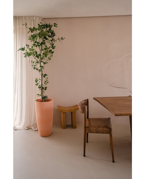 La plante artificielle Ficus 210 cm se dresse à côté de rideaux transparents dans une pièce minimaliste et neutre avec une chaise en bois rustique, un petit tabouret en bois frappant et une table en bois.