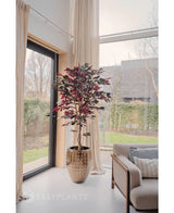 Une plante artificielle Ficus vert/rouge de 180 cm ignifuge avec des feuilles vert foncé et rouges se trouve près d'une grande fenêtre avec des rideaux de couleur crème dans un salon lumineux et moderne à côté d'un canapé beige avec des coussins à motifs. Des arbres et une maison sont visibles à l'extérieur.