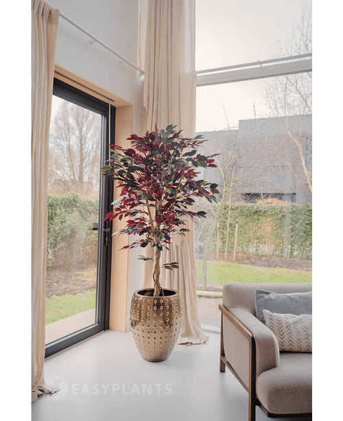 Une plante artificielle Ficus vert/rouge de 180 cm ignifuge avec des feuilles vert foncé et rouges se trouve près d'une grande fenêtre avec des rideaux de couleur crème dans un salon lumineux et moderne à côté d'un canapé beige avec des coussins à motifs. Des arbres et une maison sont visibles à l'extérieur.