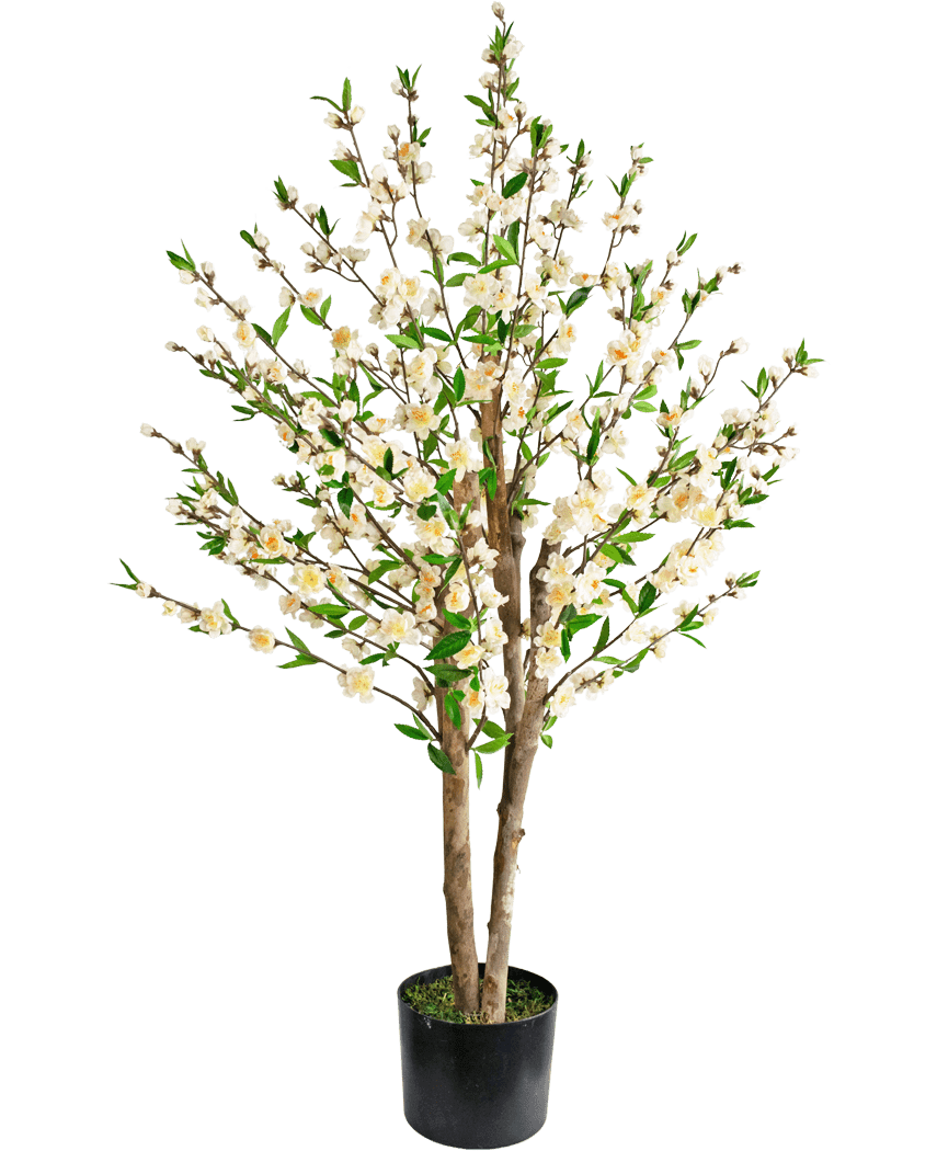 Le Cerisier Artificiel 120 cm crème est un cerisier artificiel en pot avec de multiples troncs marron, des feuilles vertes et des bouquets de petites fleurs blanches sur un fond uni blanc.