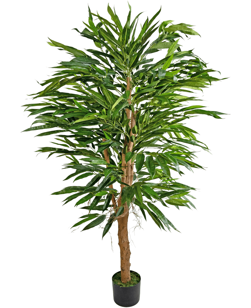 La Plante Artificielle Longfolia 150 cm est un grand bambou artificiel avec de multiples tiges brunes et de longues feuilles vertes étroites, présenté dans un petit pot noir sur un fond blanc uni.