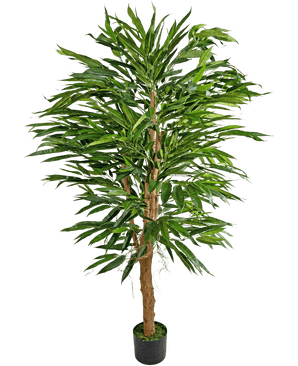 La Plante Artificielle Longfolia 150 cm est un grand bambou artificiel avec de multiples tiges brunes et de longues feuilles vertes étroites, présenté dans un petit pot noir sur un fond blanc uni.