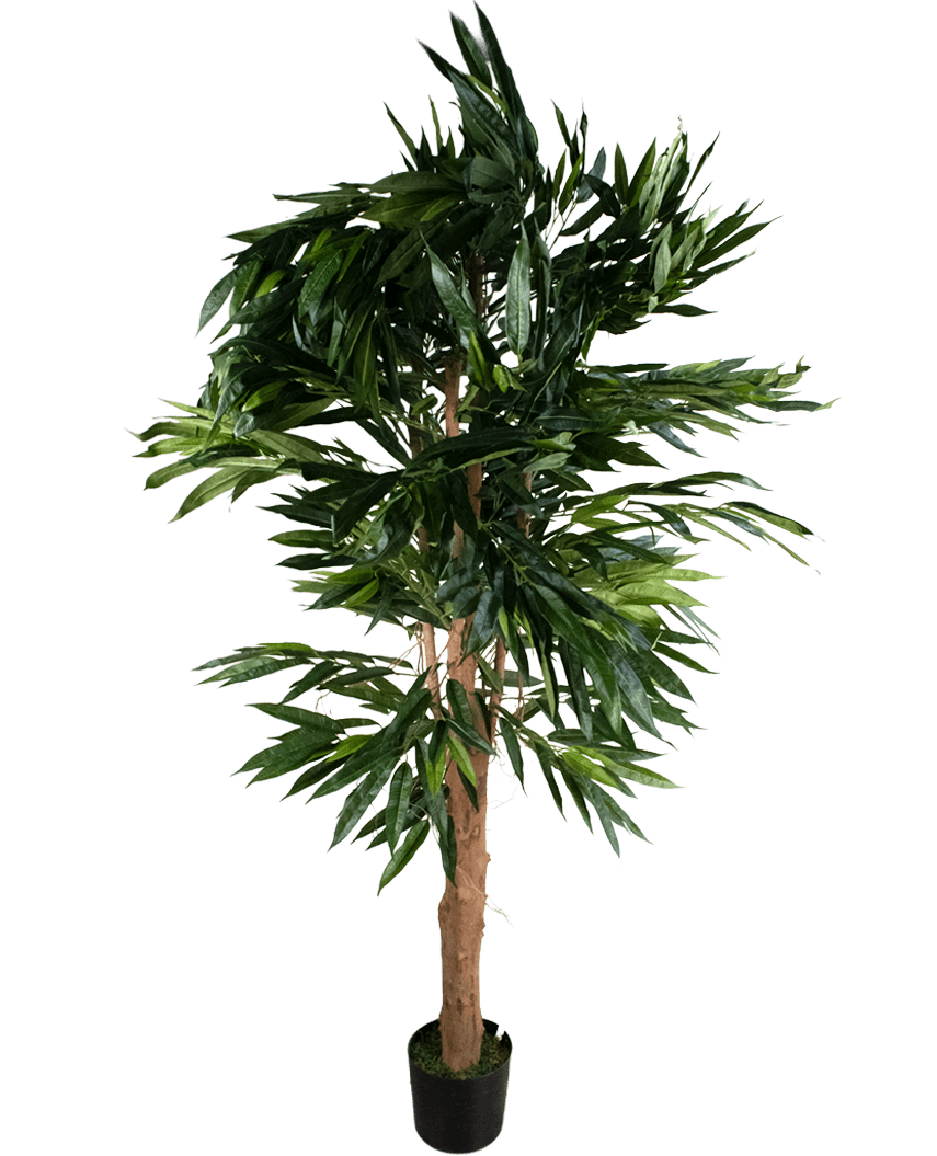 La Plante Artificielle Longfolia 180 cm est un arbre artificiel en pot.