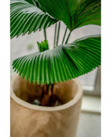 Gros plan de la plante artificielle Lucuala Grandis 120 cm dans un pot de couleur claire, avec les grandes feuilles vertes plissées près de la fenêtre.