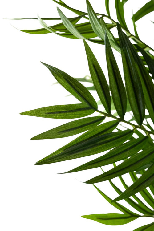 Gros plan de feuilles vertes superposées aux extrémités pointues du salon de plantes artificielles 180 cm, sur fond blanc.