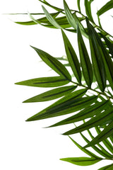 Gros plan de feuilles vertes superposées aux extrémités pointues du salon de plantes artificielles 180 cm, sur fond blanc.
