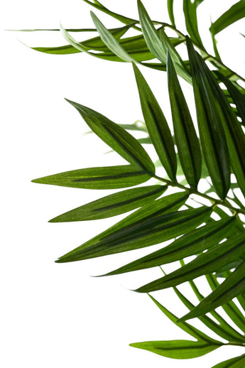 Gros plan de feuilles vertes superposées aux extrémités pointues du salon de plantes artificielles 180 cm, sur fond blanc.
