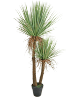 La plante artificielle Yucca Deluxe de 153 cm a deux grands troncs bruns avec une texture et des grappes de longues feuilles vertes pointues et quelques feuilles inférieures séchées sur un fond blanc.