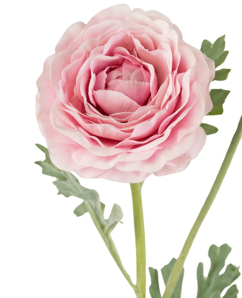 Un gros plan de la renoncule artificielle Real Touch rose 60 cm montre les pétales roses superposés et les feuilles vertes sur un fond blanc.