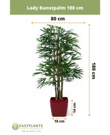 Lady Palm artificiel de 180 cm dans un pot rouge, de 180 cm de haut et 80 cm de large ; le pot mesure 14 cm de haut et 18 cm de large. Logo de la marque et dimensions indiquées – Parfait comme plante artificielle verte élégante pour n'importe quelle pièce.