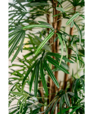 Gros plan des feuilles vertes vibrantes et des frondes longues et minces du palmier artificiel Lady Palm 210 cm, sur un arrière-plan légèrement flou, mettant en valeur l'aspect luxuriant et tropical de ce palmier artificiel.