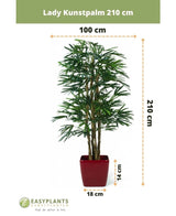 Palmier artificiel Lady 210 cm : Ce palmier Rhapis artificiel d'un réalisme impressionnant mesure 210 cm de haut et 100 cm de large dans un pot rouge saisissant (14 cm de haut, 18 cm de large) - un choix parfait pour les espaces intérieurs élégants.