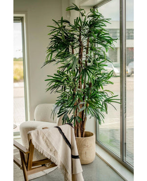 Le Lady Palm artificiel 210 cm, avec ses feuilles vertes longues et étroites, est placé près de grandes fenêtres dans une pièce lumineuse. Un fauteuil blanc et une chaise en bois drapée d'une couverture légère à proximité créent une atmosphère invitante.
