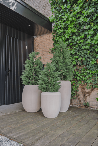 Plante Cyprès artificiel deluxe 120 cm UV