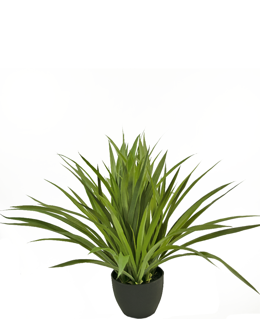 La plante succulente artificielle de 40 cm est une plante d'intérieur artificielle verte et épineuse dans un pot noir, sur un fond blanc uni.