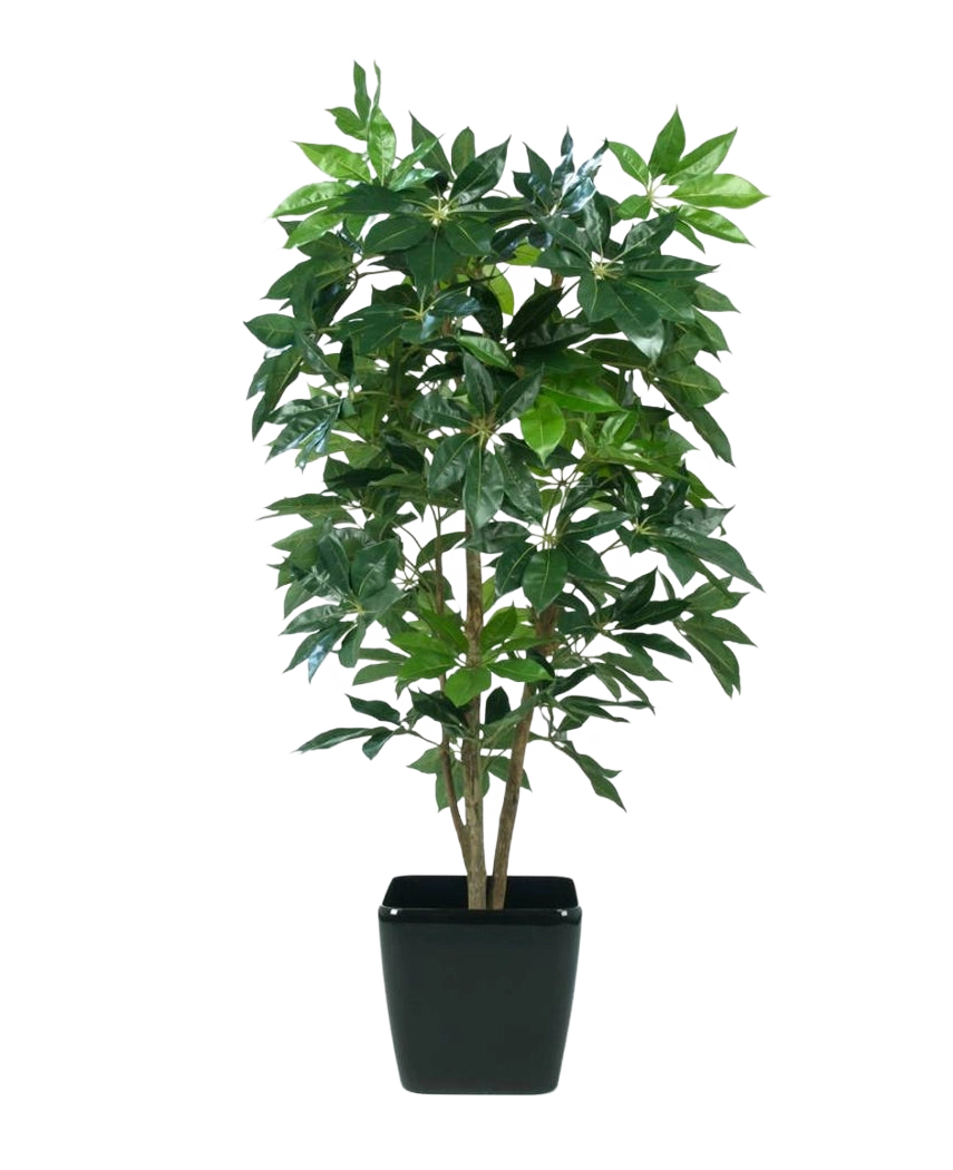 La plante artificielle Schefflera de 150 cm a de multiples tiges et des feuilles vertes brillantes, présentées dans un pot rectangulaire noir sur un fond blanc uni.