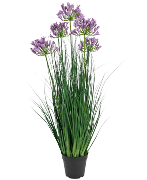 Le pot d'herbe d'oignon d'agapanthe violette d'herbe artificielle est une plante artificielle ignifuge de 90 cm de haut avec de longues feuilles vertes et des bouquets de fleurs violettes, présentées dans un pot noir uni sur un fond blanc.
