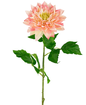 La Georgine artificielle Real Touch Jaune/rose 70 cm a une seule tige de dahlia artificielle avec des pétales jaunes et roses doux et plusieurs feuilles vertes, magnifiques sur un fond blanc uni.
