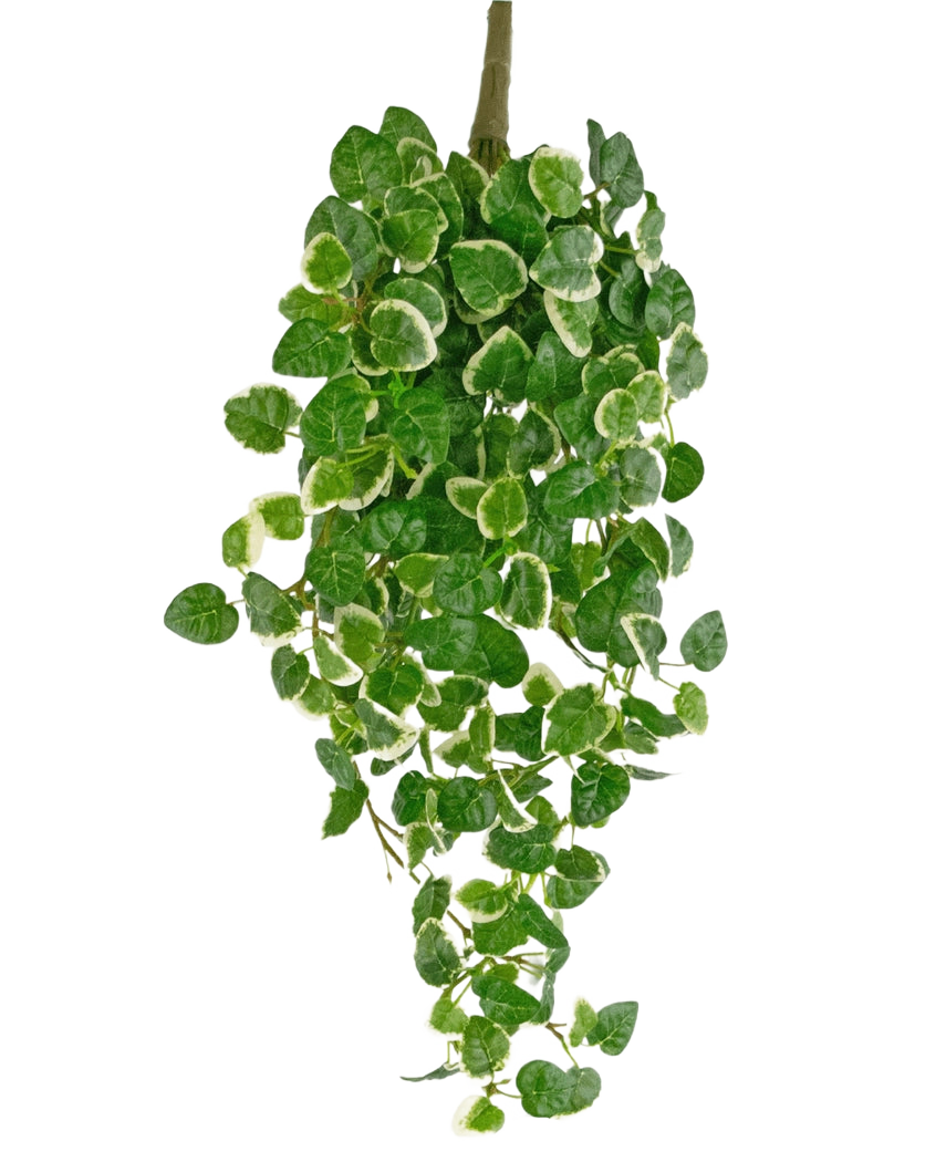 Plante artificielle suspendue Pumila 50 cm