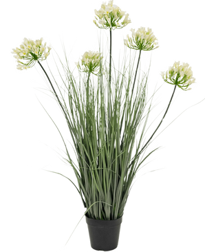 Le Gazon artificiel Agapanthus oignon blanc pot 90cm ignifuge est une plante artificielle en pot avec de hautes feuilles vertes et six bouquets de petites fleurs jaune clair sur de longues tiges, sur un fond uni blanc.