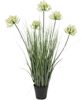 Le Gazon artificiel Agapanthus oignon blanc pot 90cm ignifuge est une plante artificielle en pot avec de hautes feuilles vertes et six bouquets de petites fleurs jaune clair sur de longues tiges, sur un fond uni blanc.